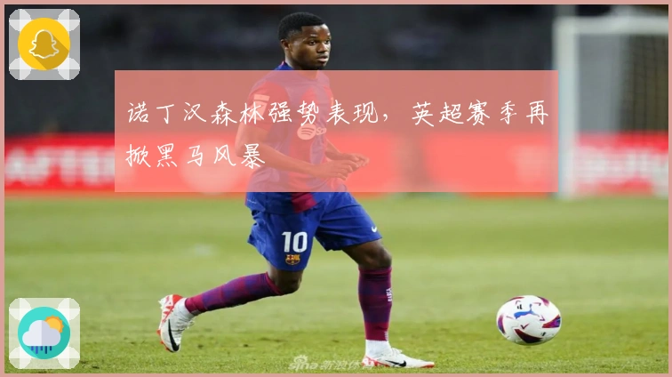 诺丁汉森林强势表现，英超赛季再掀黑马风暴