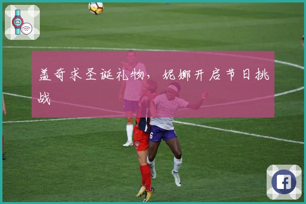 盖奇求圣诞礼物,妮娜开启节日挑战