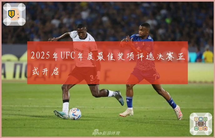 2025年UFC年度最佳奖项评选决赛正式开启